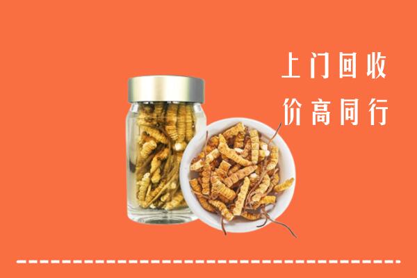 颍上县回收冬虫夏草